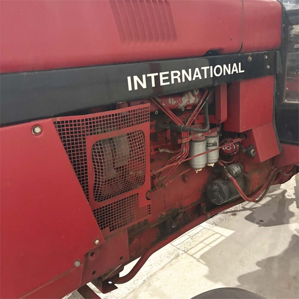 International